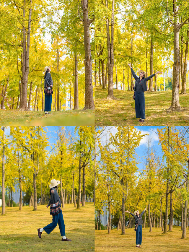 成都賞秋指南個絕美的秋日氛圍感公園! 成都賞秋指南個絕美的秋日氛圍感公園!