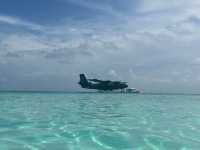 Wonderful Return to Kuredu