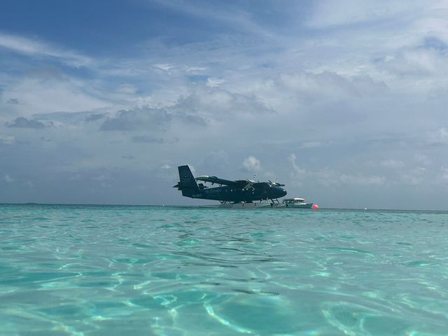 Wonderful Return to Kuredu Wonderful Return to Kuredu