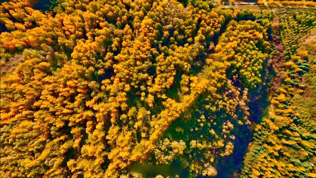 姜子牙渭水釣魚的故事引起我的好奇心…？