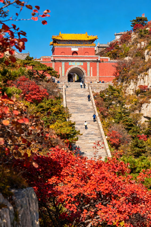 家庭遊好去處！山東日遊超高性價比