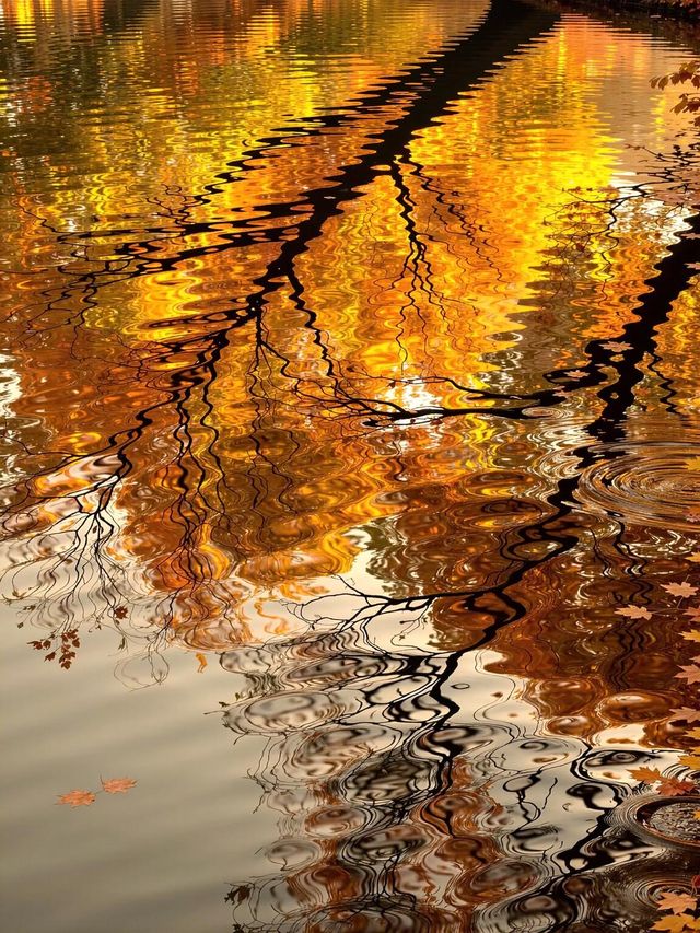 雲南秋天必去的小眾秘境沙溪古鎮美到窒息 雲南秋天必去的小眾秘境沙溪古鎮美到窒息