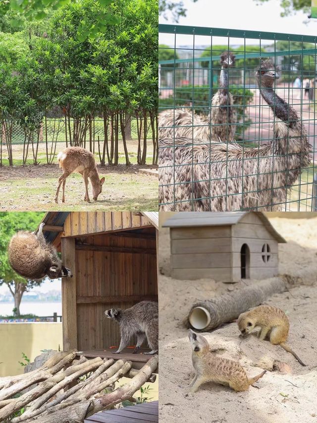 寧波人少景美的遛娃神地!!! 寧波人少景美的遛娃神地!!!