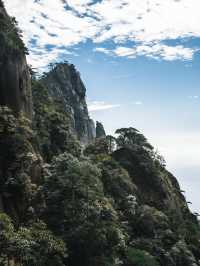 雲霧仙境徒步路線