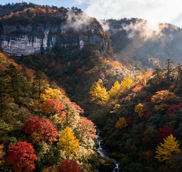 秋色天花板！瓦屋山彩林進入最佳觀賞期，錯過再等一年