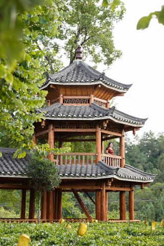 창우는 좋은 곳입니다