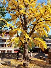 @閨密,呢個週末,我哋一齊去東爐村偷「小燈籠」啦!