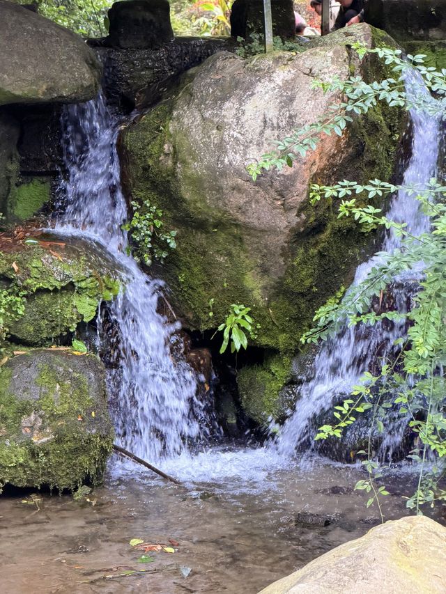 浣花溪公園：在詩箋竹影裡打撈杜甫的漣漪
