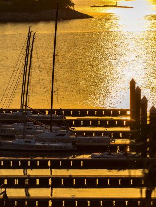 Xiamen Qishang|A Secluded Escape Living in Art