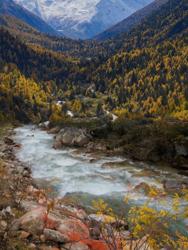 中國最美鄉村 | 甲居藏寨