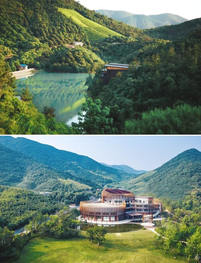 承包六座山頭的森系度假酒店莫干山·郡安里