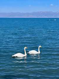 秋日包車遊伊犁一路美景太治癒