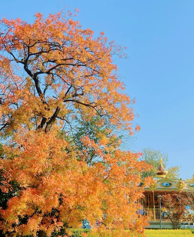 金秋童話專屬—青島中山公園
