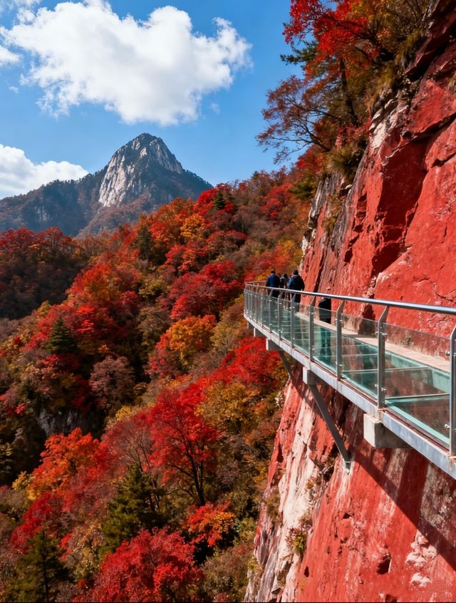 穿越秦嶺賞秋色：我的五日山路自駕日記