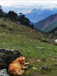 秋冬梅里雪山徒步全攻略日照金山+徒步安全指南