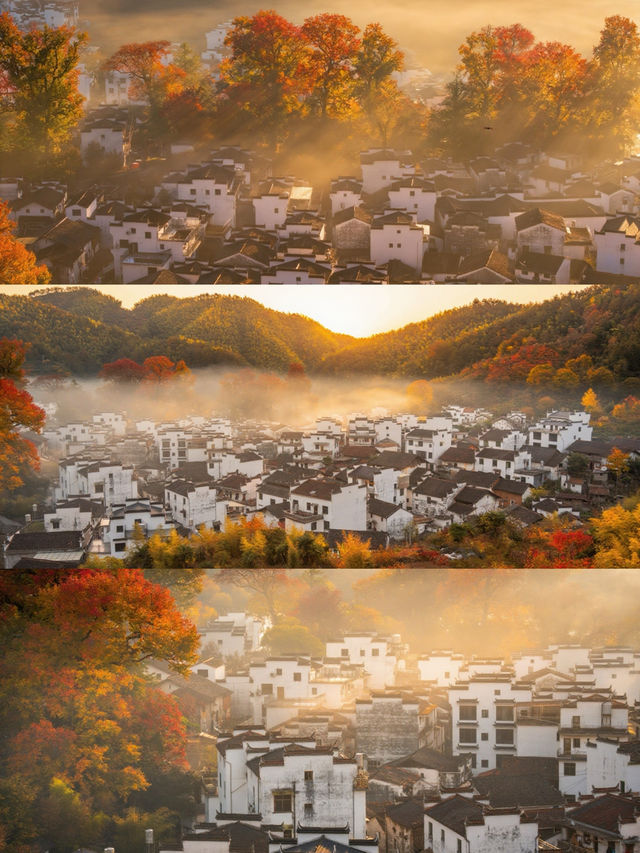 11月後來我逢人便說，婺源的秋景有多美