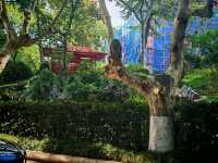 南京鼓樓公園600年古韻味明鼓清碑太出片打卡