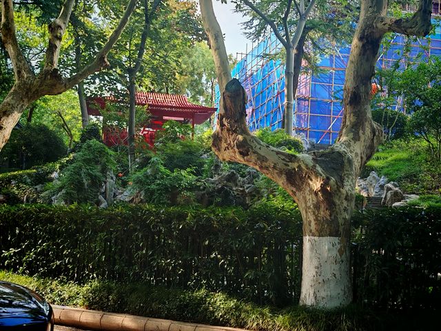 南京鼓樓公園600年古韻味明鼓清碑太出片打卡