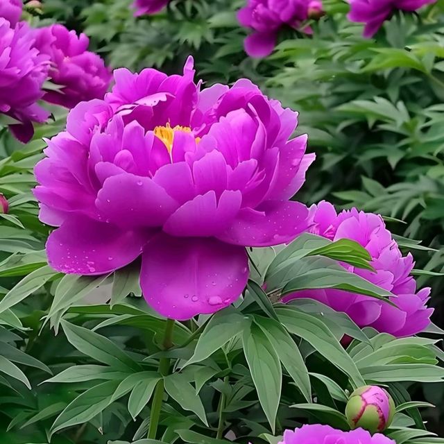 山東荷澤歡迎您