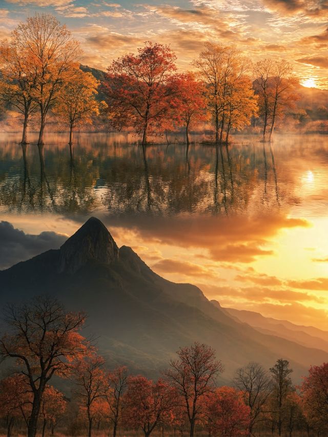 羅田九資河保姆攻略！紅葉巔峰古村煙火，隨手拍都是壁紙級大片