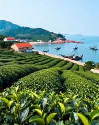 擁有600餘年歷史的古村落|被譽為「中國最美漁村〞