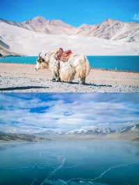 永遠去不膩的目的地!景色封神全攻略