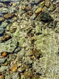 奔赴三亞只為18張圖｜這波海島值哭了