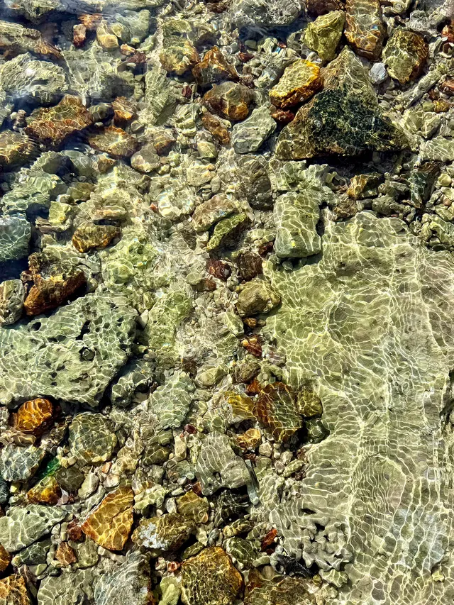 奔赴三亞只為18張圖｜這波海島值哭了