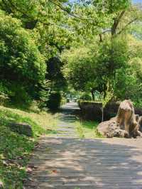 長沙散步天花板!住豪生步行去月湖,晚風+燈光美到不想走!