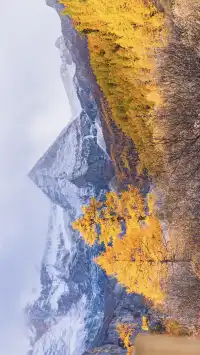 秋景封神的稻城亞丁,還看到了彩虹