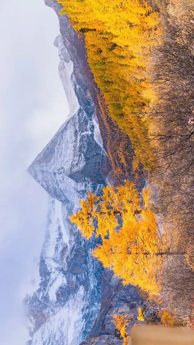 秋景封神的稻城亞丁,還看到了彩虹 秋景封神的稻城亞丁,還看到了彩虹
