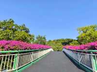 雲端綠道網紅橋小眾親子徒步路線快打卡