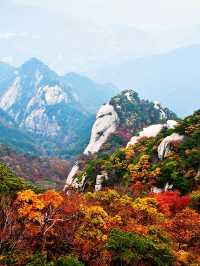 秋遊黃岡包車暢遊超省心攻略