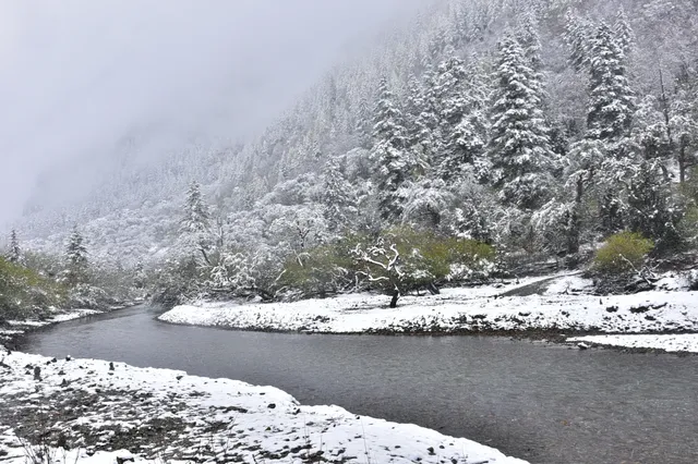 跟我們德陽出發每週去野吧！