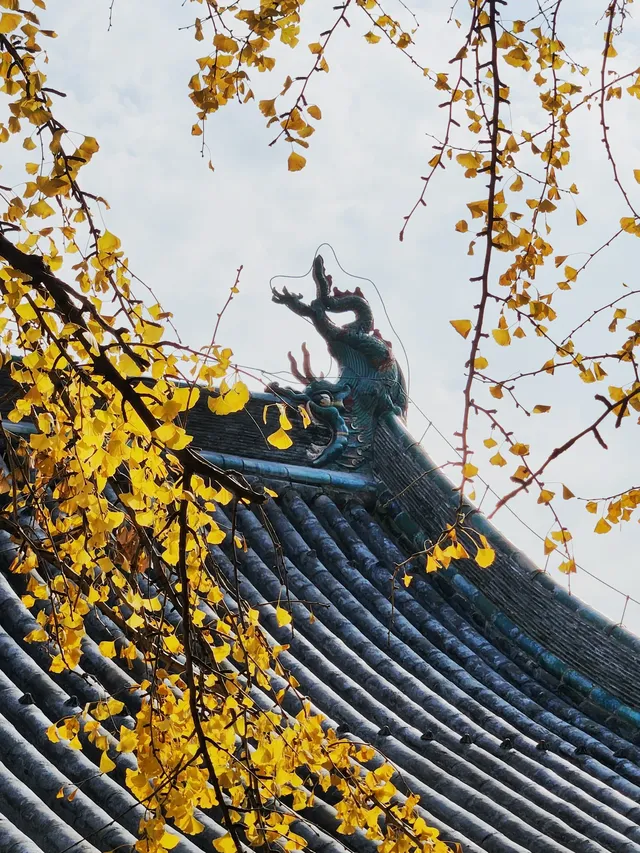 我宣佈,這是我河南最中意的小木頭房子 我宣佈,這是我河南最中意的小木頭房子