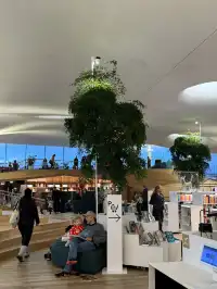 來芬蘭就是來提升審美的