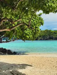 富國島爽玩攻略 白天浮潛晚上夜釣