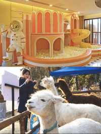 長頸鹿相伴！親子遊絕佳地！