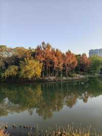 杭州夢想小鎮打卡攻略日咖夜酒文藝范兒拉滿！