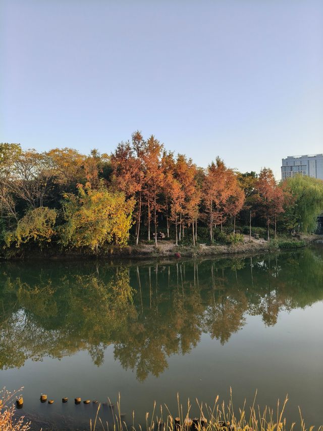 杭州夢想小鎮打卡攻略日咖夜酒文藝范兒拉滿！