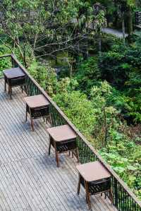 江浙滬賞秋好去處!小眾遊玩地雲和梯田,秋意濃~