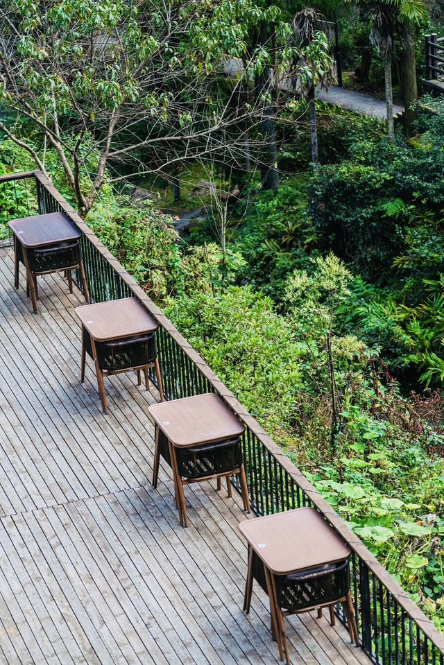 江浙滬賞秋好去處!小眾遊玩地雲和梯田,秋意濃~ 江浙滬賞秋好去處!小眾遊玩地雲和梯田,秋意濃~