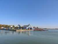 隱匿的星願：在喧騰樂園邊，找到一片濕地