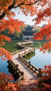 蘇州人的秋天私藏!會發光的楓葉