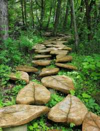 爆冷門！陝西這座神仙峽谷竟藏匿著八仙的祕籍