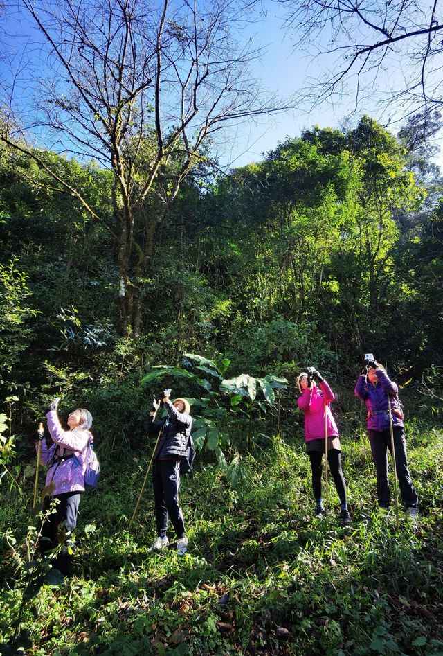 騰衝寶藏青旅！在貝雷帽青旅，我找到了旅行的意義！  這次騰衝之行，最正確的決定就是入住了貝雷帽青旅！