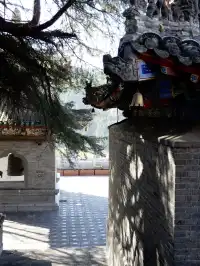 關於洛陽行-2天半