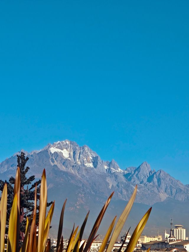 誰在麗江住過這樣的酒店?! 誰在麗江住過這樣的酒店?!