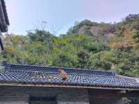 衢州藥王山,踏青好去處