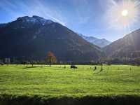 因特拉肯,愛在深秋